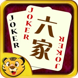 6家